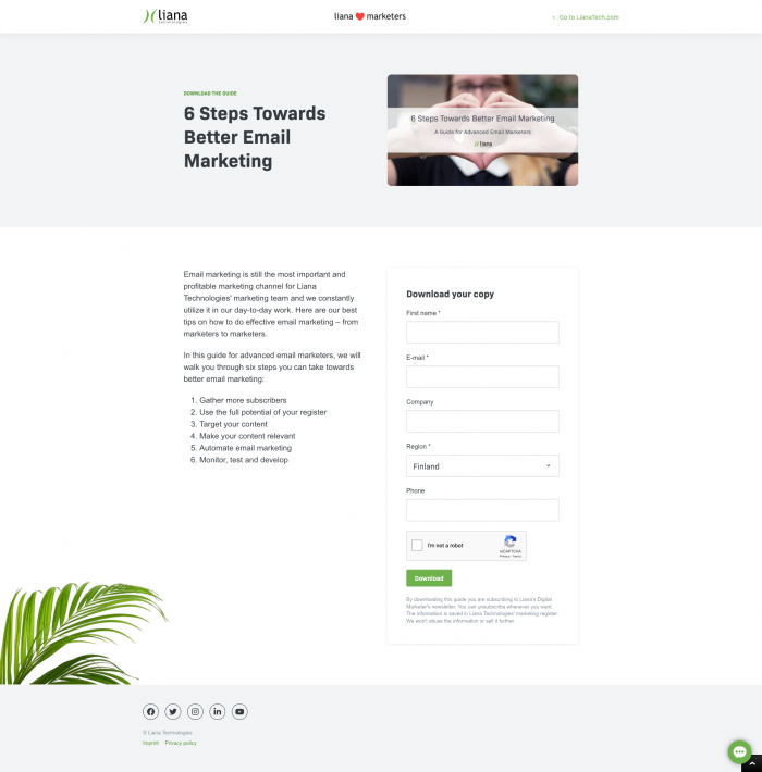 Landing page example