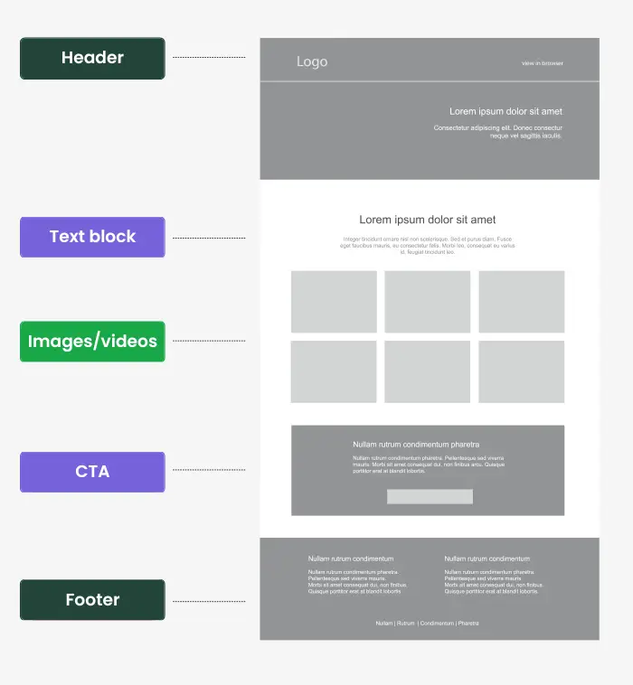 infographic of necessary newsletter components: header, text block, images/videos, CTA and footer