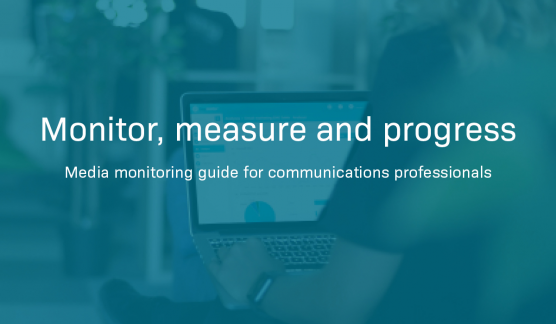 Media monitoring guide