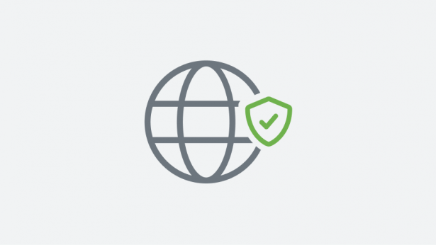 Globe with shield containing a checkmark