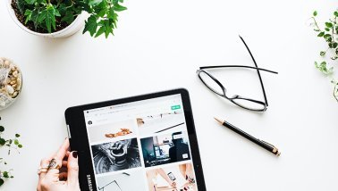 tablet and plants on a table