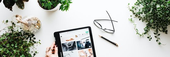 tablet and plants on a table