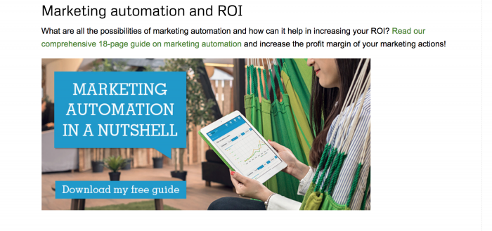 Marketing automation whitepaper CTA at the end of a blog post