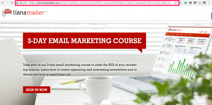 Email Marketing Course Liana Technologies